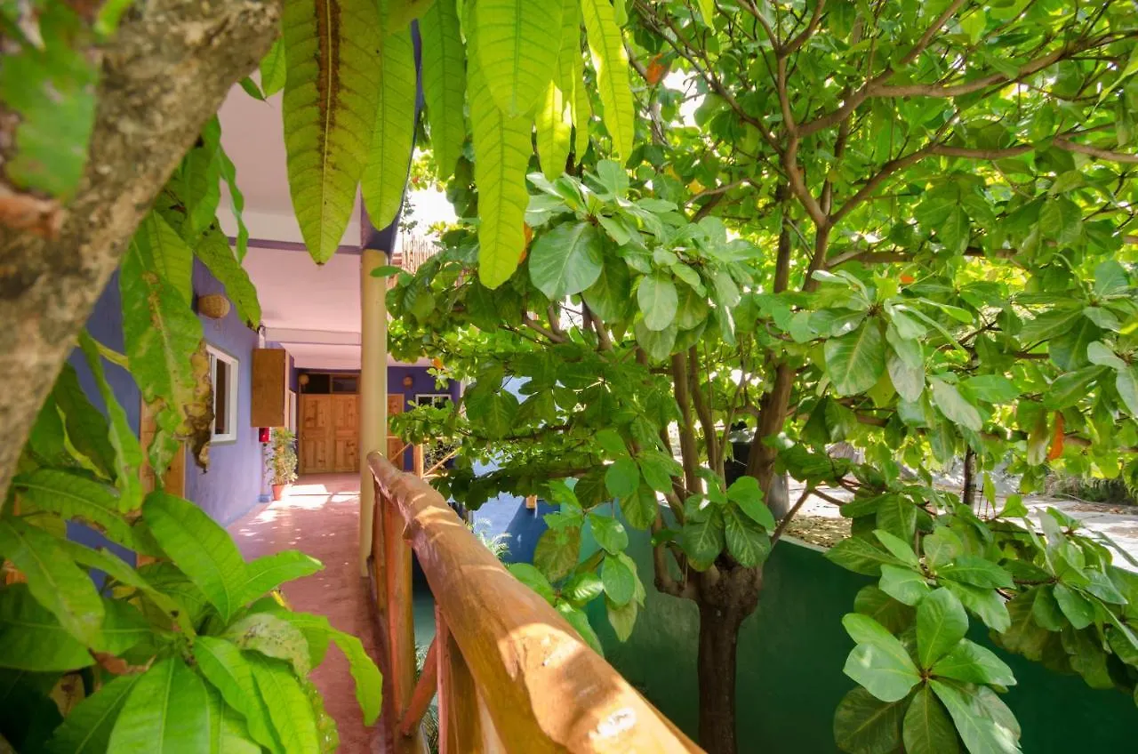 Casa Almendro Hotel Tulum
